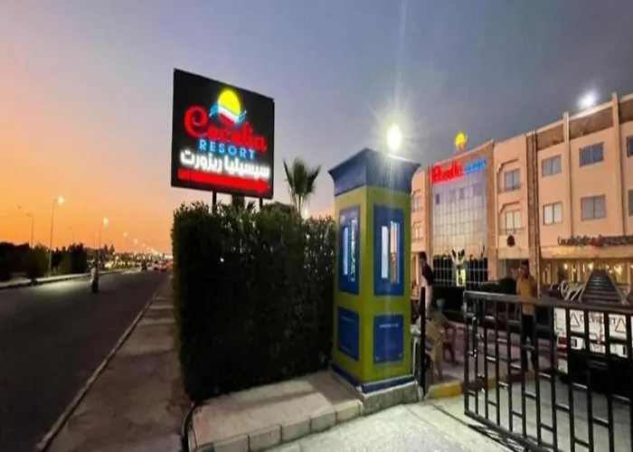 Lovely Sunny Front, Near Senzo Mall Free Wifi Apartment