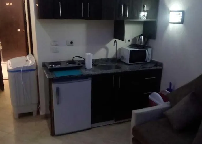 Lovely Sunny Front, Near Senzo Mall Free Wifi Apartment